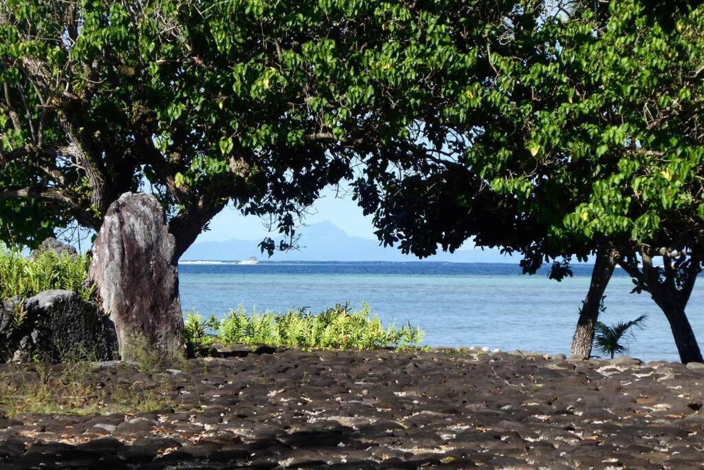 Raiatea, Opoa, Studio Du Fare Reve, Acces Mer Privatif Екстер'єр фото